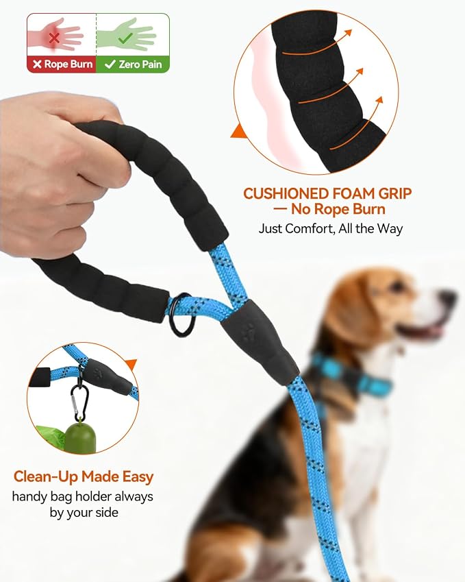 Joytale Dog Leash for Small Dogs, Heavy Duty Nylon Leashes with Comfortable Padded Handle and Highly Reflective Threads, Ideal for Walking and Training, SkyBlue, 6'×3/8''