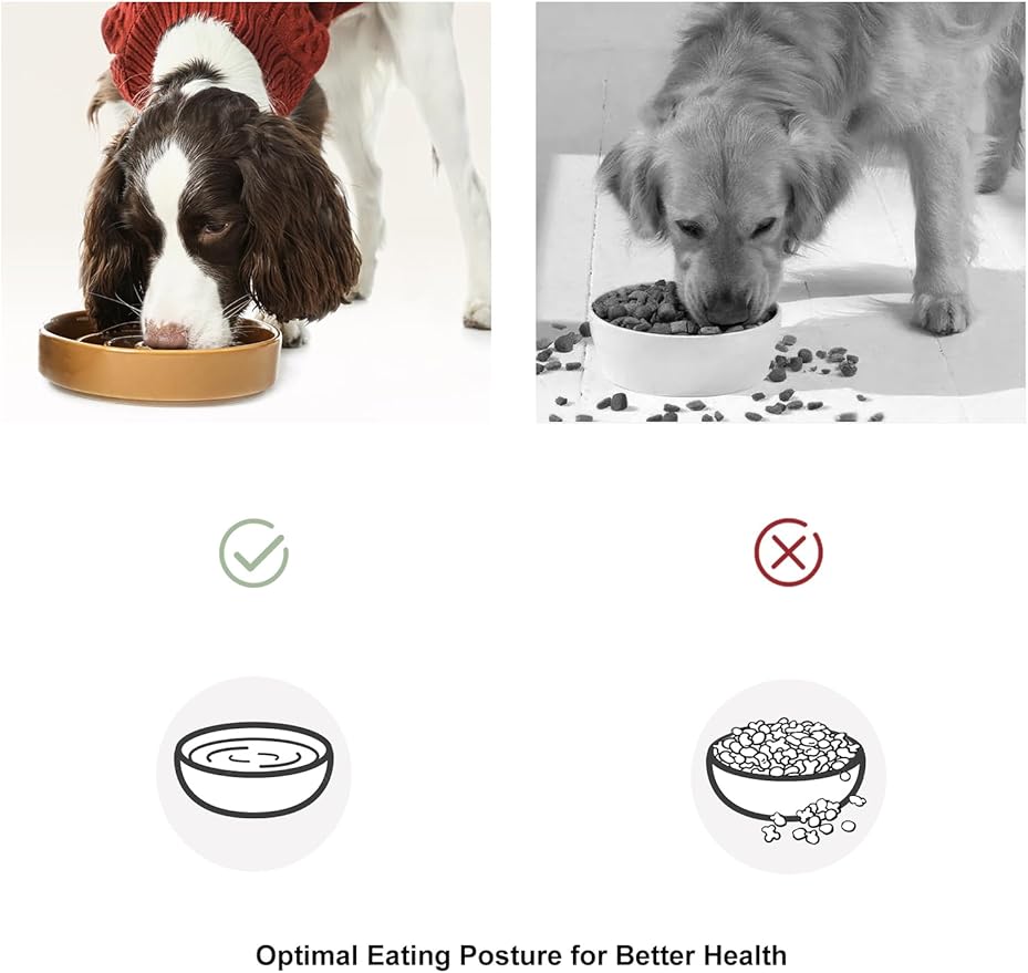 Ceramic Slow Feeder Dog Bowl, Maze Puzzle Non-Slip Silicone Base Stoneware Bowl for Small Medium Dogs, Heavy Duty Anti-Bloat Dog Food Bowl Dishwasher Safe – Ice Blue, Small