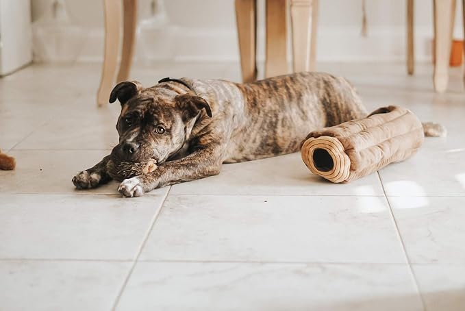 ZippyPaws Burrow- Interactive Dog & Puppy Toys for Boredom, Stimulating Pet Products to Keep them Busy, Hide & Seek Plush Dog Puzzles, Squeaky Toy for Enrichment, For Small & Medium Dogs- Chipmunk Log