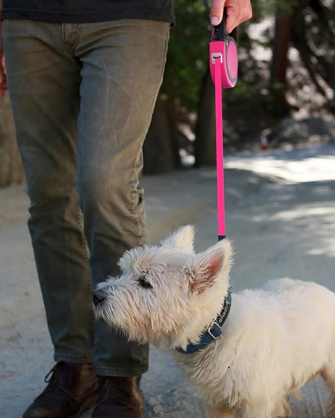 Taglory Retractable Dog Leash, 16ft No Tangle Leash Retractable for Small Medium Dogs Up to 44 lbs, One-Handed Brake, Pause, Lock, Pink