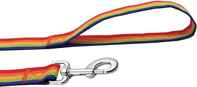 Strong Nylon Dog Leash, 4FT/ 5 FT/ 6FT Dog Leashes for Medium Large Dogs (6FT, Rainbow)