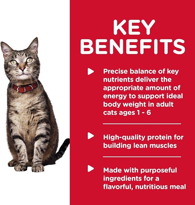 Hill's Science Diet Adult 1-6 Wet Cat Food, Turkey, 5.5 oz. Cans, 24-Pack