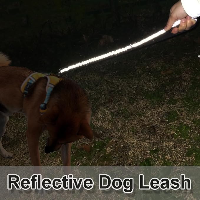 2 FT Bungee Dog Leash, Reflective Strong Nylon Short Traffic Leash, Shock Absorbing Training Lead for Large Medium Dogs Walking Controlling (2ft, Purple)