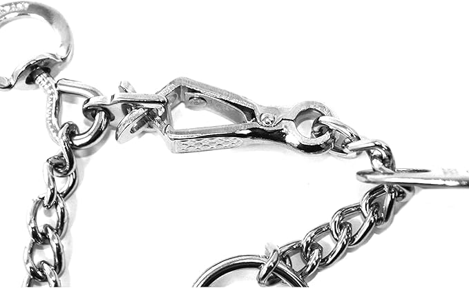 Herm Sprenger Chrome Plated Steel Training Prong Collar with Quick Release Snap for Dogs, 23in (58cm) x 3.2mm, (Neck Size UP to 19 inches)