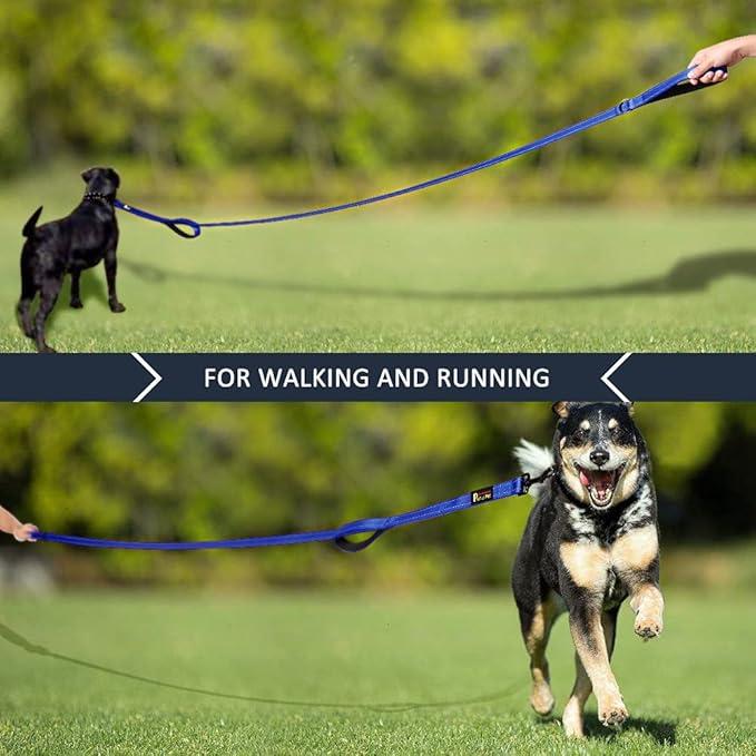 Plutus Pet Double Handle Dog Leash 4ft, Heavy Duty, Reflective Dual Handle Dog Leash for Safety Training, for Medium Large Dogs,2 Handle Leads(Navy Blue)