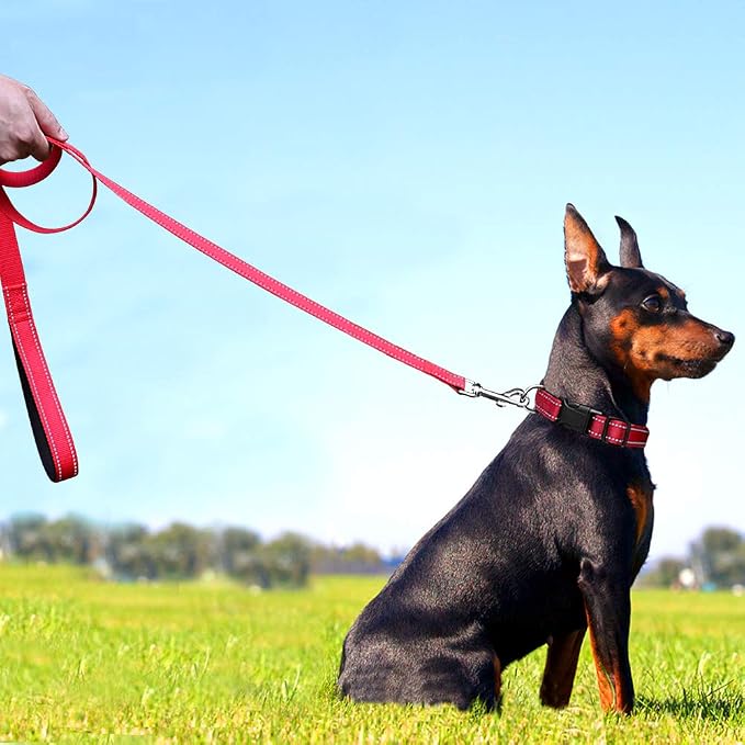 FunTags 6FT Red Reflective Dog Leash for Medium & Small Dogs Walking, Soft Padded Handle Comfortable Grip, Heavy Duty Nylon, Reflective for Night Walking, 3/4in Wide