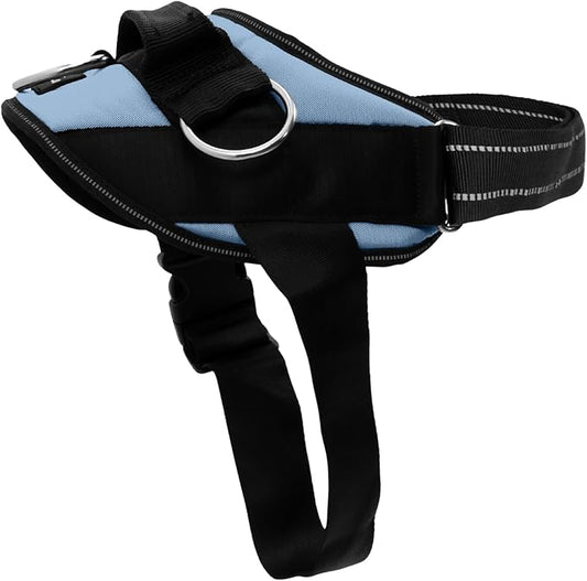 ShawnCo Essential Dog Harness, No-Pull Pet Vest with 3 Leash Clips, No Choke, Reflective, Adjustable and Padded, for Easy Walking and Training for Small, Medium and Large Dogs (Moonglow, XS)
