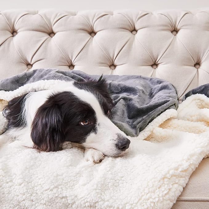 Qeils Waterproof Blanket for Bed, Dog Blankets for Large Dogs, Waterproof Cat Blanket Washable, Soft Sherpa Fleece Puppy Blanket, Reversible Throw Protector for Couch Car, 50"X60", Dark Grey