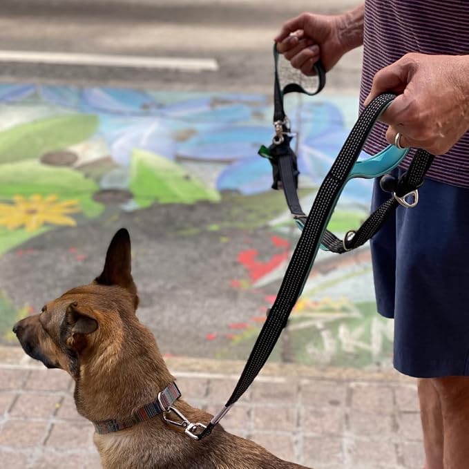 Heavy Duty Dog Leash for Large Dogs – 6FT Reflective Bungee with Padded Handles, Strong Carabiner Clip, No Pull Control for Medium & Large Breeds, Includes Poop Bag Holder & Treat Pouch (Orange)