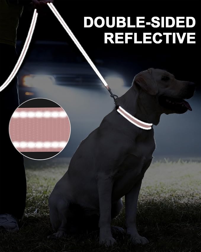 Taglory Dog Leash for Small Dogs, Double-Sided Reflective for Night Walking, Neoprene Padded Handle, 3/4 inch by 4 ft, Lightweight for Small Medium Breeds up to 30 lbs, Pink