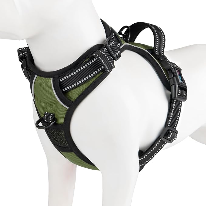 PHOEPET No Pull Dog Harness with Handle Reflective Padded Vest for Small Medium Large Dogs, Adjustable Puppy Harnesses with Front & Back Clip Easy Walking (L, Misty Green)