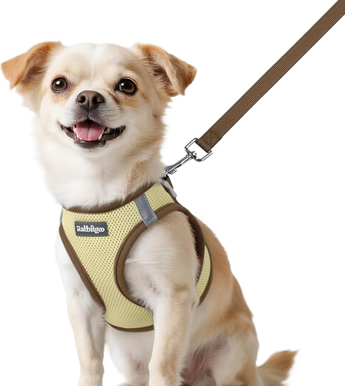 rabbitgoo Dog Harness Small Sized and Leash Set, Step-in Breathable Pet Harness, Soft Walking Reflective Puppy Vest for Small Dogs, Beige & Coffee, XXS
