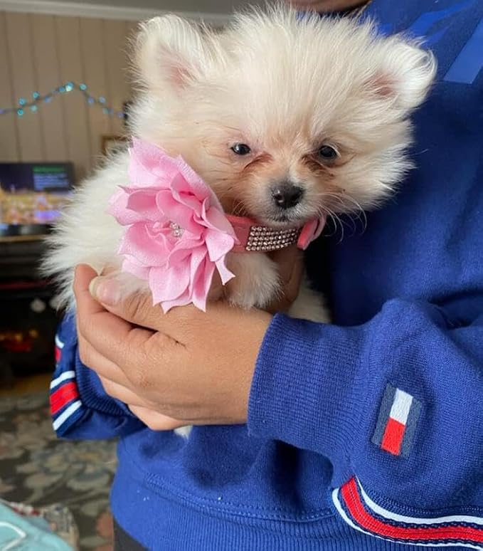 Cute Dazzling Sparkling Soft Suede Leather Dog Cat Rhinestone Collar Crystal Diamond Pet Dog Puppy Collar (Pink, S)