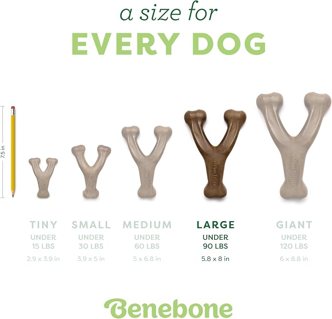 Benebone 2-Pack Wishbone Durable Dog Chew Toy for Aggressive Chewers, Real Bacon Made in USA, Small