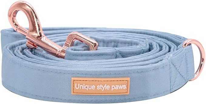 Unique style paws Silk Dog Leash Durable Dog Leashes with Welded D-Ring Comfortable Handle for Small Medium Large Dogs