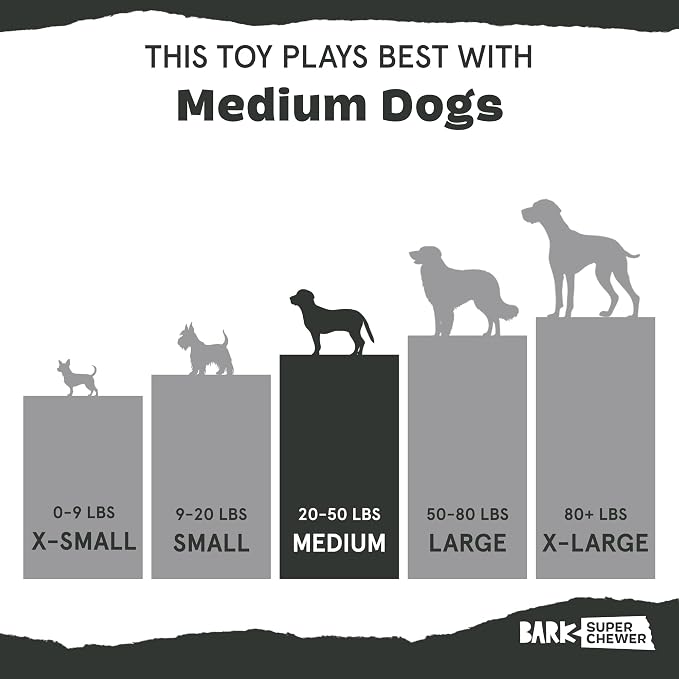 Barkbox Super Chewer Rad Herring Hard Core Toy with Rip Away Plush for Aggressive Chewers, Medium