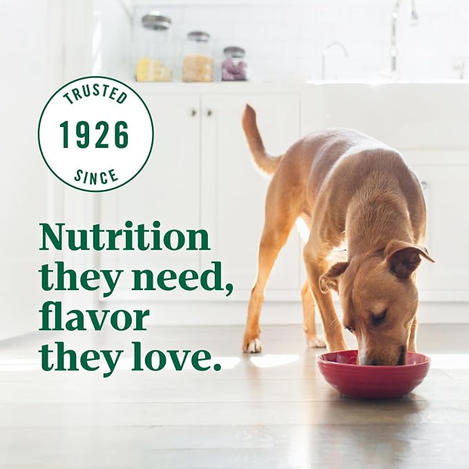 Nutro Ultra Dry Dog Food for Adult Dogs with a Trio of Proteins from Chicken, Lamb and Salmon, 30 lb. Bag