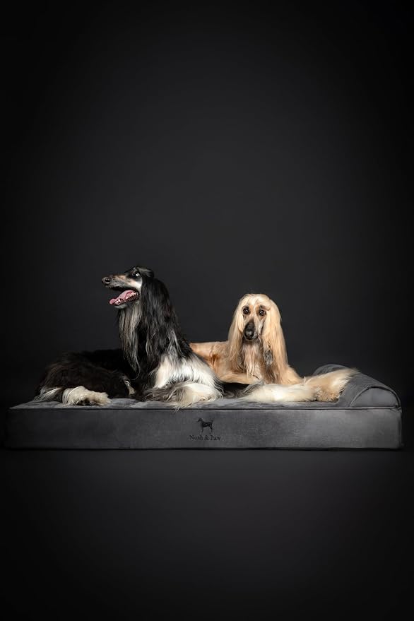 NOAH & PAW Giant Dog Bed XXL 55x45x9.5 Inch, Orthopedic Dog Beds, Eggshell Memory Foam Infused with Cooling Gel, Water Resistant, Machine Washable, Includes Inner Cover (Velvet Collection)