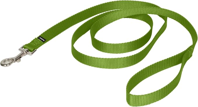 PetSafe Nylon Dog Leash - Strong, Durable, Traditional Style Leash with Easy to Use Bolt Snap - 3/4 in. x 6 ft., Apple Green
