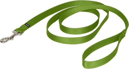 PetSafe Nylon Dog Leash - Strong, Durable, Traditional Style Leash with Easy to Use Bolt Snap - 3/4 in. x 6 ft., Apple Green