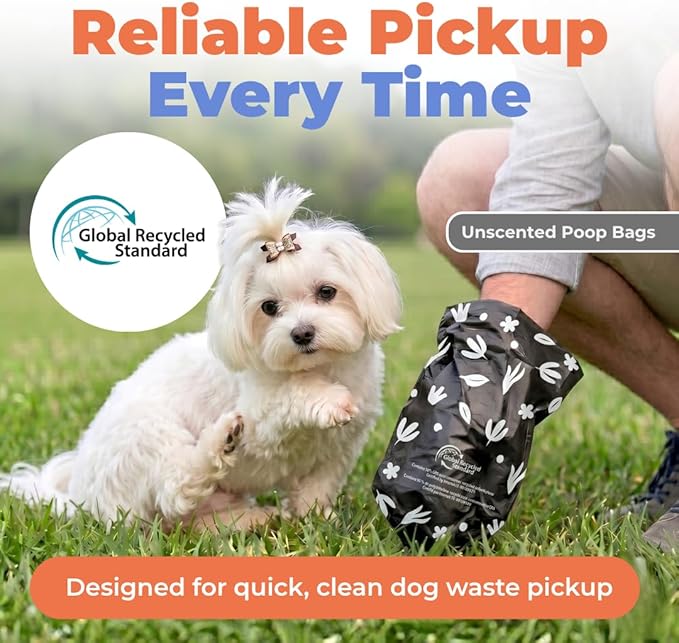 Best Pet Supplies Dog Poop Bags for Waste Refuse Cleanup, Doggy Roll Replacements for Outdoor Puppy Walking and Travel, Leak Proof and Tear Resistant, Thick Plastic - Black (Unscented), 150 Bags