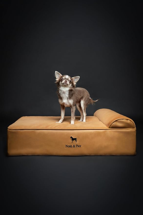 NOAH & PAW Dog Bed, 28x23x7.5 Inch, Orthopedic Dog Beds for Medium Size Pets, Eggshell Memory Foam Infused with Cooling Gel, Water Resistant, Machine Washable, Includes Inner Cover (Faux Leather)