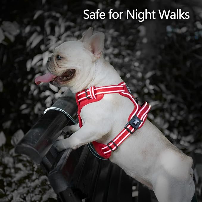 PoyPet No Pull Dog Harness, No Choke Reflective Dog Vest, Adjustable Pet Harnesses with Easy Control Padded Handle for Small Medium Large Dogs(Red Matching Trim,XS)
