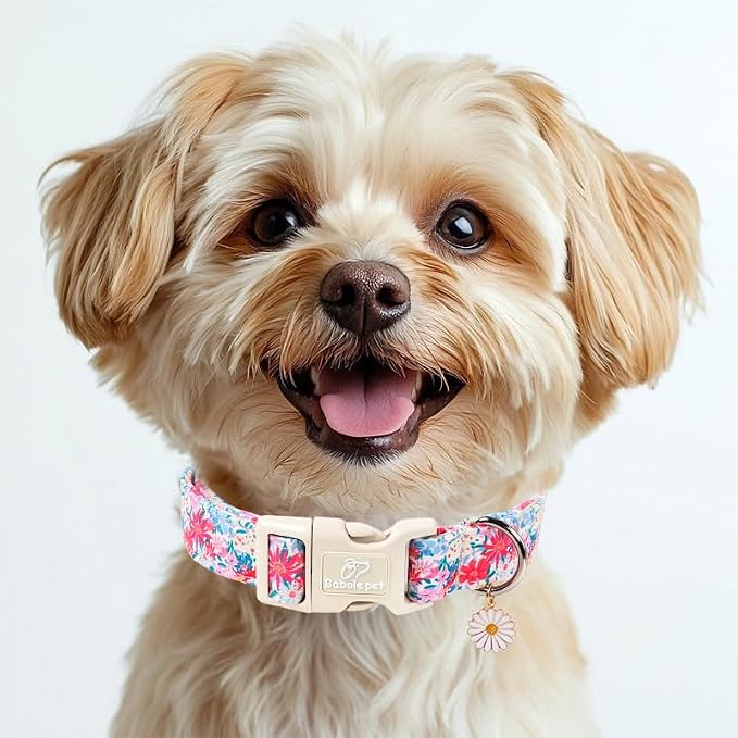 Floral Dog Collar Cute Spring/Summer Dog Collars for Giant Large Dogs - Lightweight Adjustable Pastel Wildflower Male Female Dogs Everyday Collar with Safety Buckle XL
