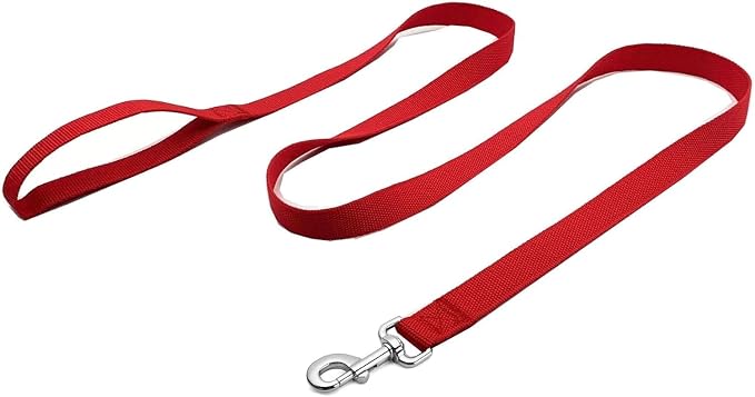 Strong Nylon Dog Leash, 4FT/ 5 FT/ 6FT Dog Leashes for Small Medium Dogs