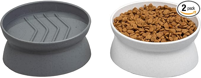 Kitty City Elevated Slow Feeder Cat Bowls (Set of 2), Whisker-Friendly Raised Cat Food Dishes with Ridges, Helps Reduce Fast Eating & Digestion Issues, Dishwasher Safe, 6.5 oz – White & Gray