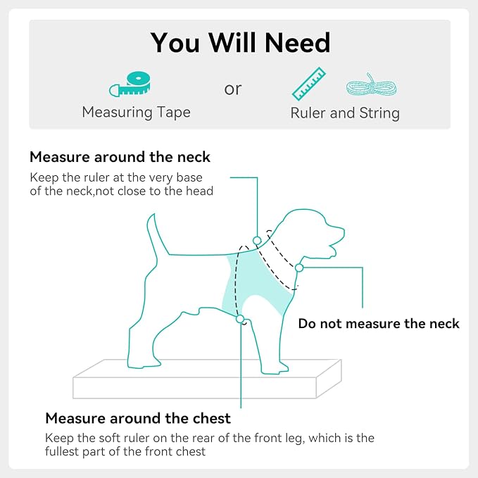 Joytale Small Dog Harness, Breathable Mesh Step-in Vest, Reflective Soft Padded Harnesses for Medium Dogs, Teal, XL