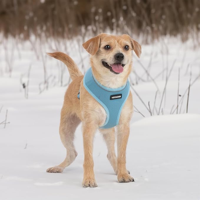 Best Pet Supplies Voyager Aerolite Over the Head Dog Harness, No Pull Breathable Air Mesh Vest, Quick Dry with Reflective Stitching, Adjustable Escape Resistant Harness - Blue, Large