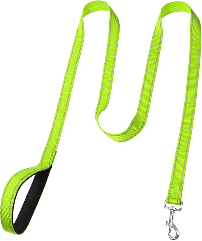 FunTags 6FT Green Reflective Dog Leash for Large & Medium Dogs Walking, Soft Padded Handle Comfortable Grip, Heavy Duty Nylon, Reflective for Night Walking, 1in Wide