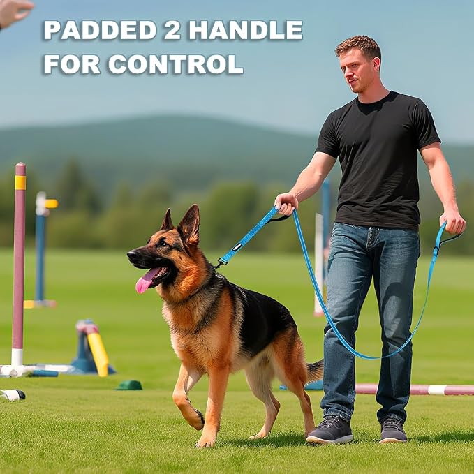 Heavy Duty Double Handle Dog Leash 6 ft Long for Total Control, Padded 2 Handle, Reflective Training Lead for Medium Large Dogs (Sky Blue, 6 FT)