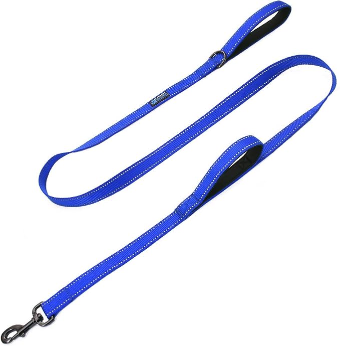 Max and Neo Double Handle Traffic Dog Leash - Reflective, Donates to Dog Rescue (Blue, 4 FT)