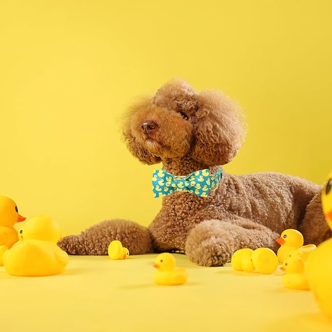 Maca Bates Summer Cute Duck Dog Collar with Bow Tie Funny Ducky Puppy Bowtie Collars Adjustable Durable Breakaway Green Fun Fancy Thick Collar for Boy Girl Male Female Dogs,Small