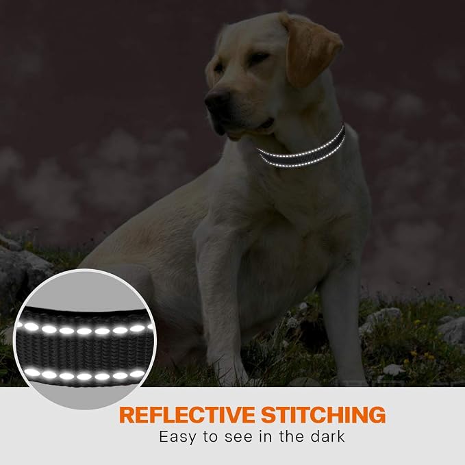 Taglory Reflective Dog Collar for Medium Dogs, Soft Neoprene Padded with Escape-Proof Locking Buckle, Upgraded Zinc Alloy Ring, Adjustable for Walking Female Male, Black,M