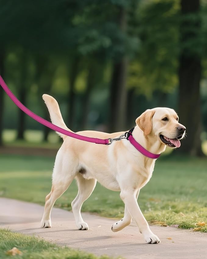 Joytale Dog Collar for Large Dogs, Strong Double-Sided Reflective Nylon Collar for Night Safety, Adjustable Quick-Release for Daily Walking, Hotpink, L (1" Width)