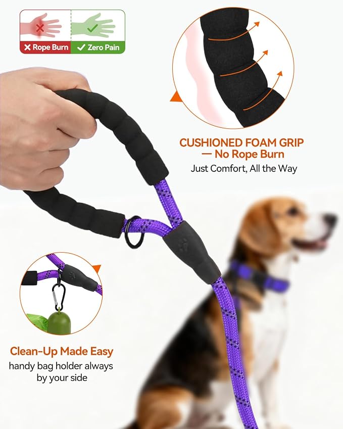 Joytale Dog Leash for Small Dogs, Heavy Duty Nylon Leashes with Comfortable Padded Handle and Highly Reflective Threads, Ideal for Walking and Training, Purple, 6'×3/8''