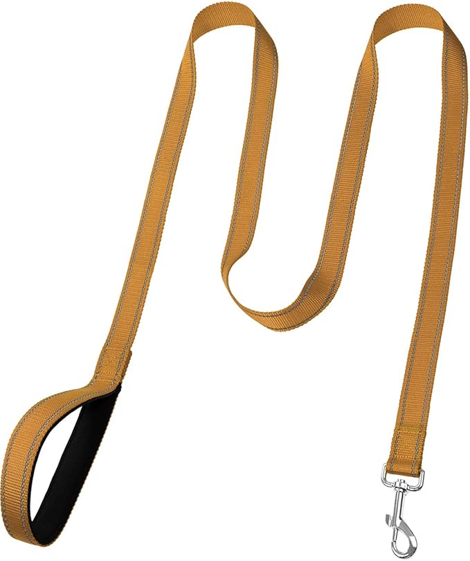 FunTags 4FT Khaki Reflective Dog Leash for Medium & Small Dogs Training, Soft Padded Handle Comfortable Grip, Heavy Duty Nylon, Reflective for Night Walking, 3/4in Wide