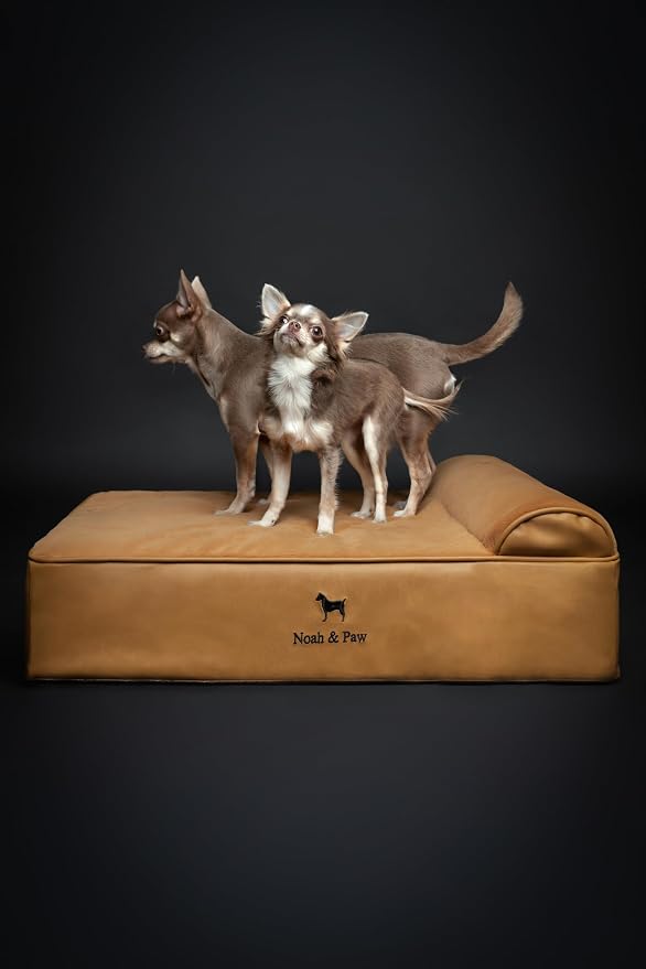 NOAH & PAW Dog Bed, 28x23x7.5 Inch, Orthopedic Dog Beds for Medium Size Pets, Eggshell Memory Foam Infused with Cooling Gel, Water Resistant, Machine Washable, Includes Inner Cover (Faux Leather)