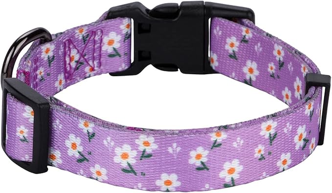 Daisy Girl Dog Collars, Floarl Design for Large Dogs, Purple