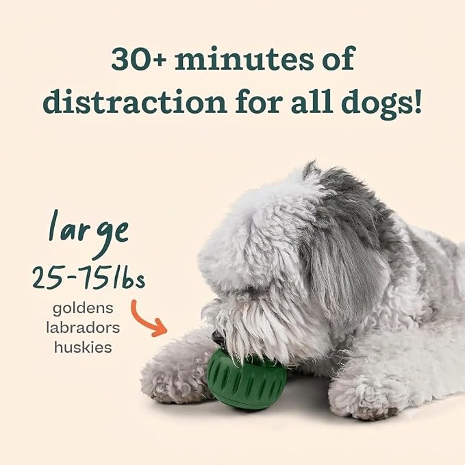 WOOF Starter Pack - Interactive Dog Ball Toy for Boredom - Dog Treat Molds Silicone - Chicken-Flavored Healthy Treats for Dogs - Pupsicle Doggy Enrichment Toy - for Large Pups - 25-75 lbs