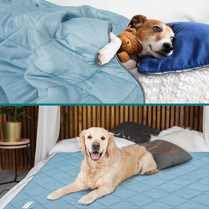 PetAmi Premium Cooling Dog Blanket | Lightweight Fluffy Pet Throw Blanket Bed Cover for Dogs, Cat, Puppies | Pet Blanket Furniture Protector Couch Sofa | Reversible Fuzzy Cozy | 24x32, Dusty Blue