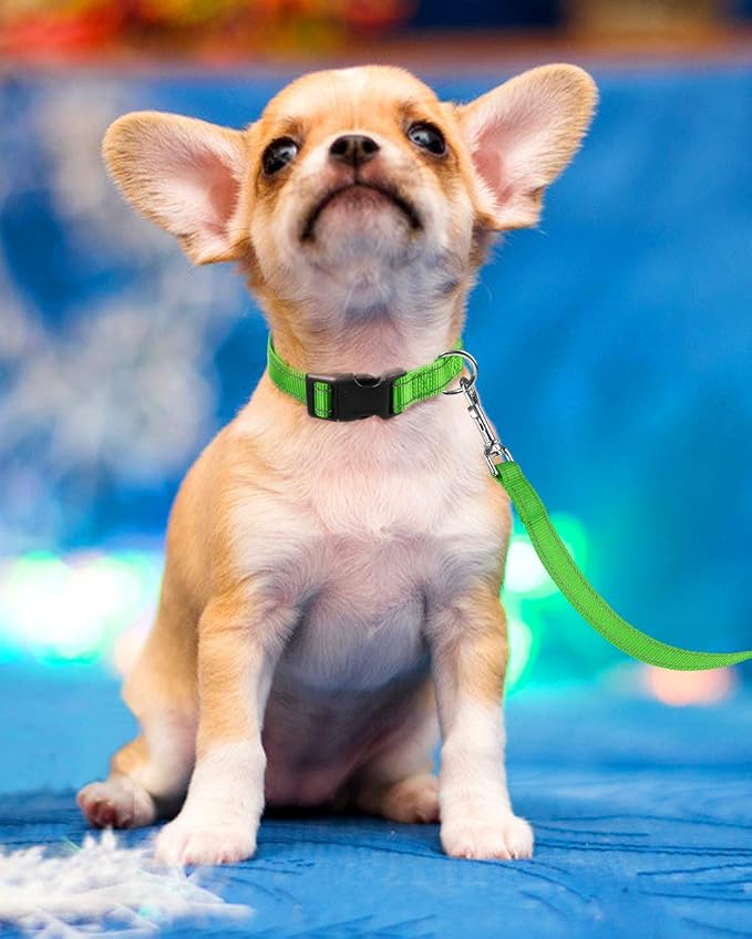 FunTags Length 8" - 12" Reflective Green Dog Collar for Puppy/Extra Small Dogs – Night Walking & Training Safety, Durable Quick Release Buckle, Nylon, Comfortable Adjustable, Width 3/8"