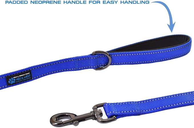 Max and Neo Double Handle Traffic Dog Leash - Reflective, Donates to Dog Rescue (Purple, 6 FT)