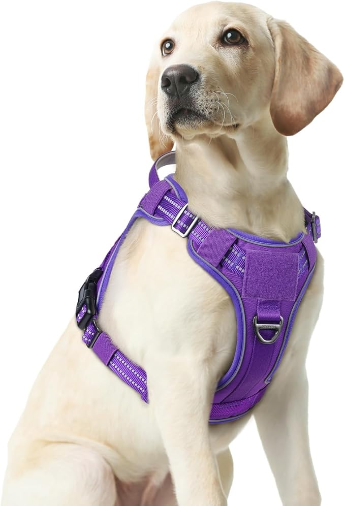 rabbitgoo Tactical Dog Harness for Large Dogs No Pull Adjustable Military Vest with Handle MOLLE Reflective Heavy Duty Dog Vest for Walking Training Hunting Outdoor Working Medium Size Dog Purple M