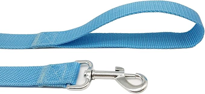 TAIAN 4FT/5FT/6FT Strong Dog Leash, Nylon Dog Leashes for Small Medium Large Dogs (5/8 in x 5 ft, Blue)