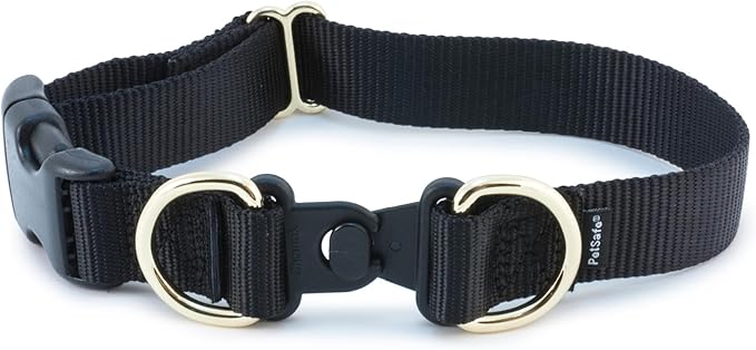 PetSafe KeepSafe Break-Away Collar 3/4 in Wide, Medium, Black Prevent Collar Accidents for Your Dog or Puppy Improve Safety, Compatible with Leash Use, Adjustable Sizes