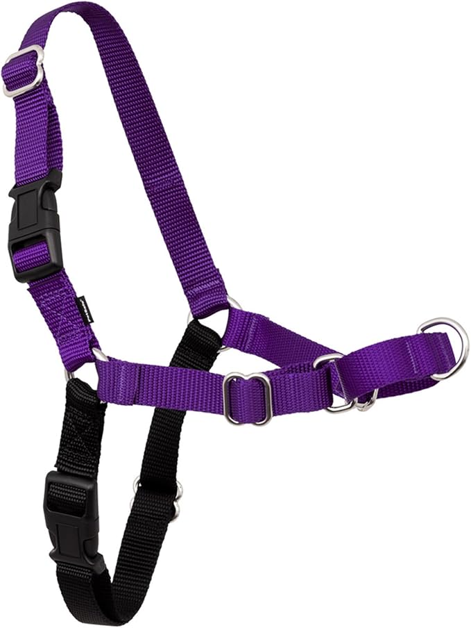 PetSafe Easy Walk No-Pull Dog Harness - Ultimate Harness to Help Stop Pulling - Pull-Free Walks - Take Control & Teach Better Leash Manners - Patented Martingale Loop Design - Purple, Medium/Large